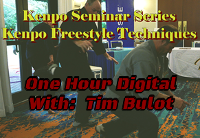 Seminar Series, Kenpo Free Style Techniques -- Digital Download